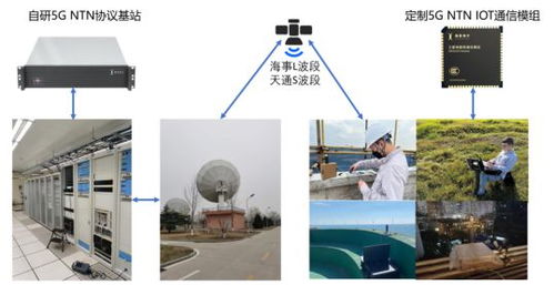 聚焦衛星物聯網服務 這家浦東企業如何闖出一條發展新路