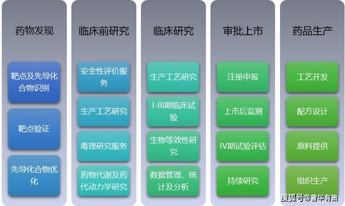 醫藥研究外包服務競爭格局與網絡技術服務的融合趨勢分析